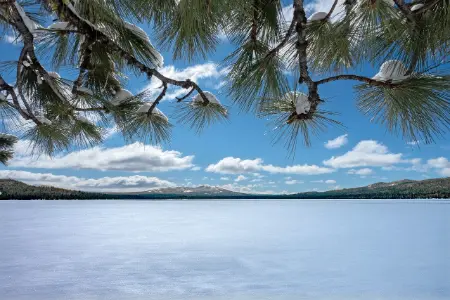 搭建随机图片API