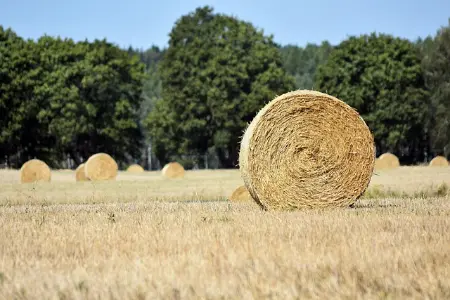 一个手机号可以注册两个微信